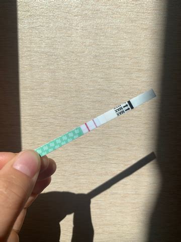 natalist pregnancy test positive|What Does a Positive Pregnancy Test Strip Look .